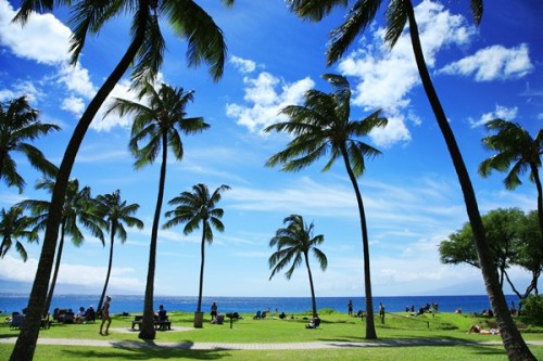 Honeymoon Vacation in Hawaii